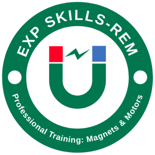 ExpSkills-REM Logo